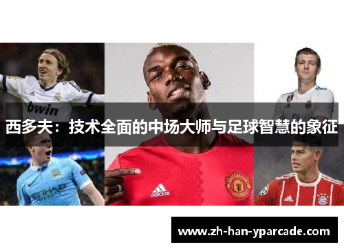 西多夫：技术全面的中场大师与足球智慧的象征